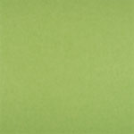 Ezo-Fabric-Green-Apple